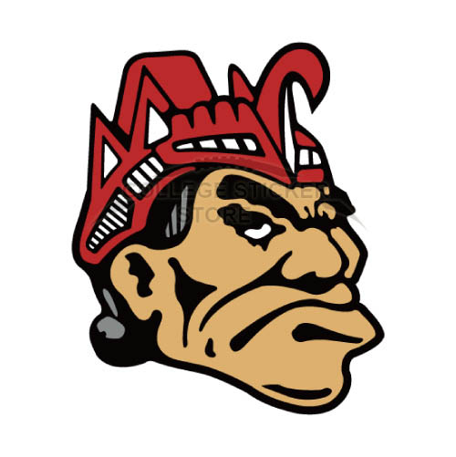 Homemade San Diego State Aztecs Iron-on Transfers (Wall Stickers)NO.6095